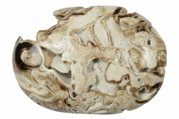 Polished Chocolate Calcite Palm Stone - Pakistan #187887